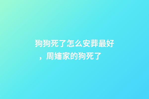 狗狗死了怎么安葬最好，周嬸家的狗死了-第1張-觀點-玄機派